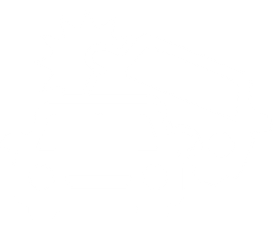 Car Accidents icon