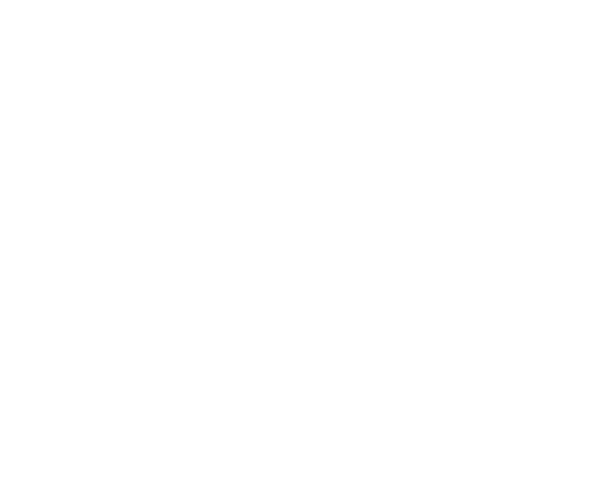 Direct Attorney Access - icon