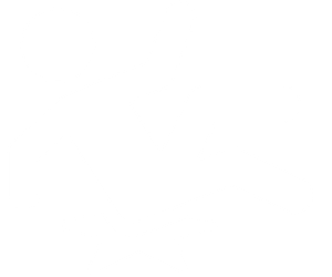 Trip & Fall Accidents icon