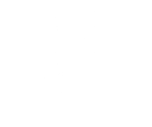 catastrophic injury icon