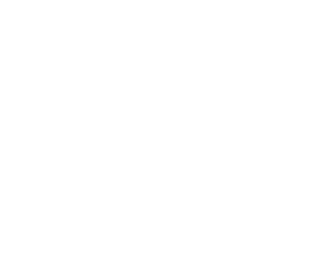 dog bites icon