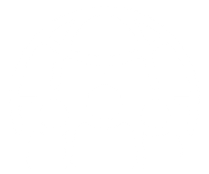 white region icon