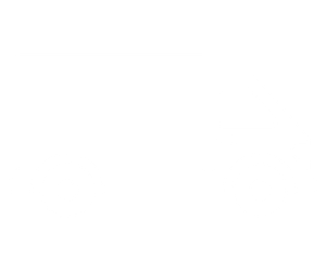 white truck icon