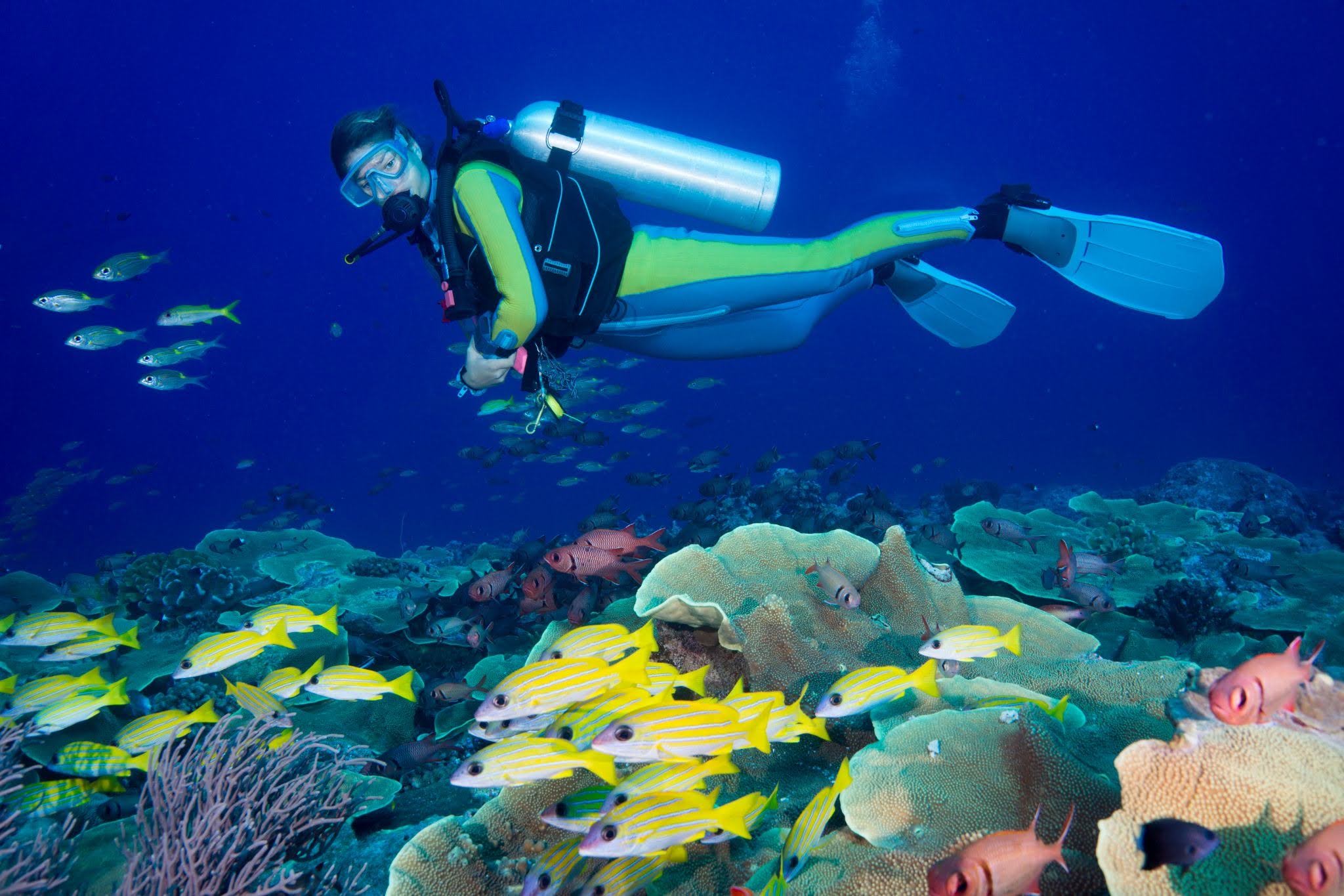 scuba dive accident lawyer Davie